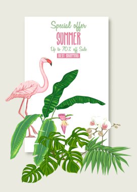 Tebrik kartı, davet veya tropik bitkiler ile banner şablon olarak palmiye yaprakları, canavarlar ve flamingo ile orkide. Renkli vektör çizim.