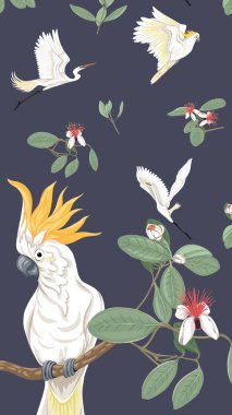 Desen, ile arka plan ile feijoa çiçeklerle balıkçıllar ve Kakadu papağan. Vektör çizim. Koyu mavi arka plan üzerinde. 