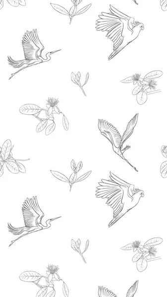 Desen Ile Arka Plan Ile Feijoa Çiçeklerle Balıkçıllar Kakadu Papağan — Stok Vektör