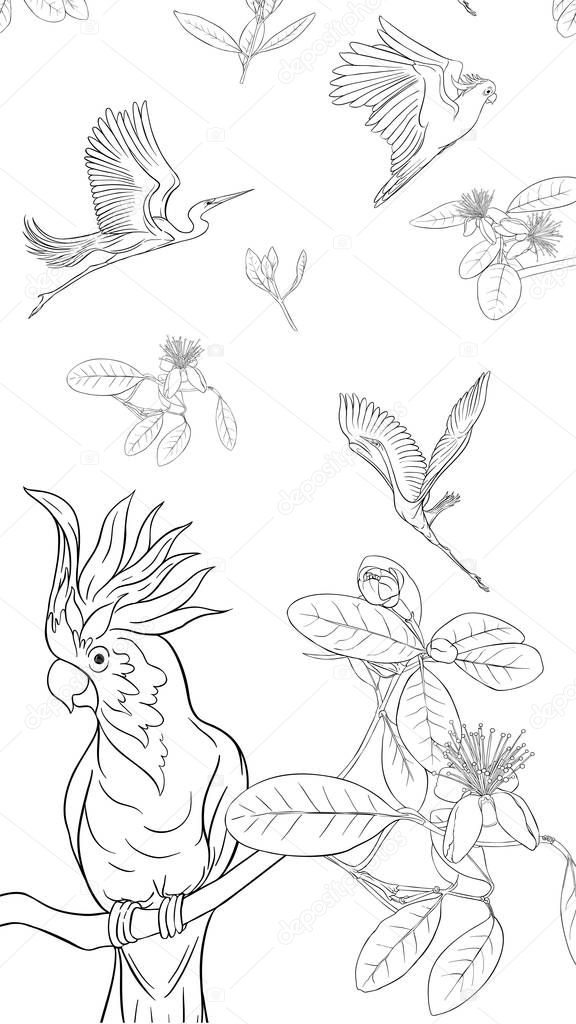 Pattern, background with with feijoa flowers with herons and cockatoo parrot. Vector illustration. Outline hand drawing. Good for coloring page for theadult coloring book.