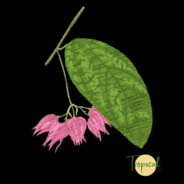 Вышивка элементов для дизайна с тропическими растениями. Цветная векторная иллюстрация. Изолированный на черном фоне
