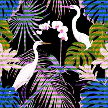 Dikişsiz desen, arka plan. tropikal bitki ve çiçeklerle beyaz orkide ve tropikal kuşlar. Neon, floresan renkler çizgili siyah arka plan üzerinde renkli vektör çizim