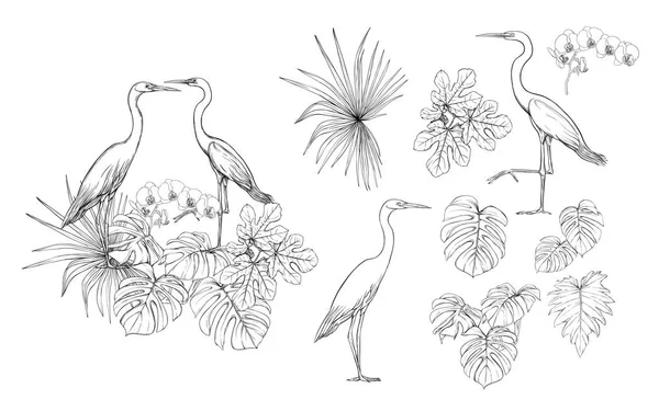シュロの葉熱帯植物をデザインの要素の設定 モンスター 蘭と白いサギ鳥 グラフィックの描画 彫刻スタイル ベクトル図 — ストックベクタ