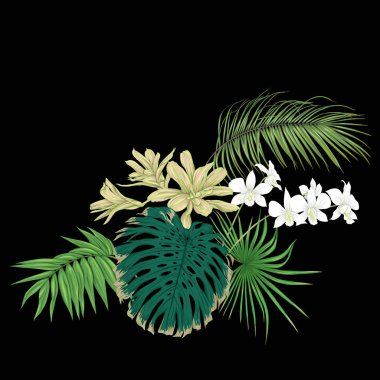 Tropik bitkiler, palmiye yaprakları, canavarlar ve beyaz orkide botanik bir kompozisyon tarzı renkli vektör çizim. Siyah arka plan üzerine izole