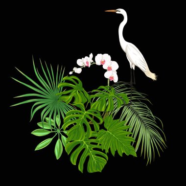 Tropik bitkiler, palmiye yaprakları, canavarlar ve botanik beyaz heron ile beyaz orkide bileşimi neon, floresan renkler renkli vektör çizim tarzı. Renkli ve anahat tasarımı. Siyah arka plan üzerine.
