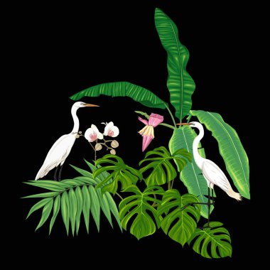 Tropik bitkiler, palmiye yaprakları, canavarlar ve botanik beyaz heron ile beyaz orkide bileşimi neon, floresan renkler renkli vektör çizim tarzı. Renkli ve anahat tasarımı. Siyah arka plan üzerine.
