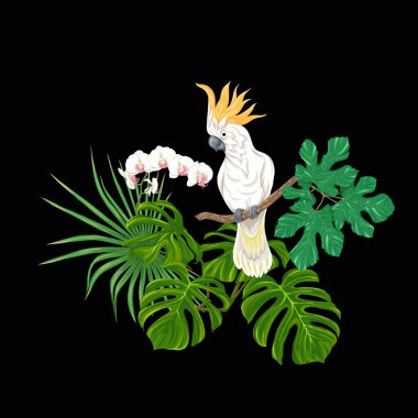 Tropik bitkiler, palmiye yaprakları, canavarlar ve botanik Kakadu papağan ile beyaz orkide bir kompozisyon tarzı renkli vektör çizim. Siyah arka plan üzerine izole