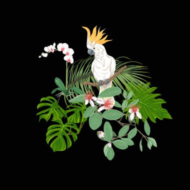 Tropik bitkiler, palmiye yaprakları, canavarlar ve botanik Kakadu papağan ile beyaz orkide bir kompozisyon tarzı renkli vektör çizim. Siyah arka plan üzerine izole