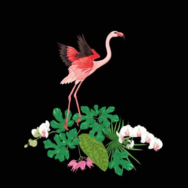 Tropik bitkiler, palmiye yaprakları, canavarlar ve flamingo Botanik ile beyaz orkide bir kompozisyon tarzı renkli vektör çizim. Siyah arka plan üzerine izole