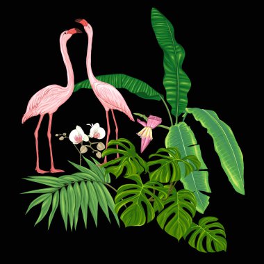 Tropik bitkiler, palmiye yaprakları, canavarlar ve flamingo Botanik ile beyaz orkide bir kompozisyon tarzı renkli vektör çizim. Siyah arka plan üzerine izole