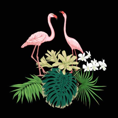 Tropik bitkiler, palmiye yaprakları, canavarlar ve flamingo Botanik ile beyaz orkide bir kompozisyon tarzı renkli vektör çizim. Siyah arka plan üzerine izole