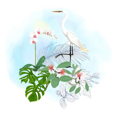 Tropikal bitki kompozisyonu, palmiye yaprakları, canavarlar ve botanik tarzında beyaz heron ile beyaz orkide. Renkli ve anahat tasarım suluboya arka plan üzerinde. Vektör çizim.