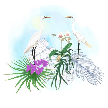 Tropikal bitki kompozisyonu, palmiye yaprakları, canavarlar ve botanik tarzında beyaz heron ile beyaz orkide. Renkli ve anahat tasarım suluboya arka plan üzerinde. Vektör çizim.