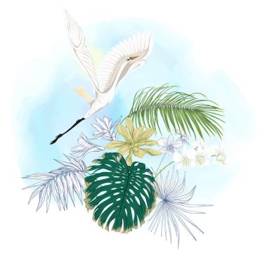Tropikal bitki kompozisyonu, palmiye yaprakları, canavarlar ve botanik tarzında beyaz heron ile beyaz orkide. Renkli ve anahat tasarım suluboya arka plan üzerinde. Vektör çizim.