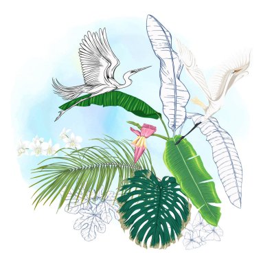 Tropikal bitki kompozisyonu, palmiye yaprakları, canavarlar ve botanik tarzında beyaz heron ile beyaz orkide. Renkli ve anahat tasarım suluboya arka plan üzerinde. Vektör çizim.