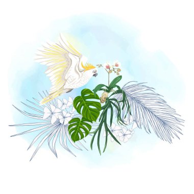 Tropikal bitki kompozisyonu, palmiye yaprakları, canavarlar ve Kakadu papağan botanik tarzı ile beyaz orkide. Renkli ve anahat tasarım suluboya arka plan üzerinde. Vektör çizim.