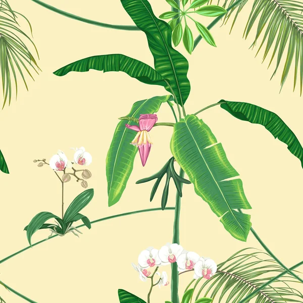 Plantas Tropicales Flores Orquídea Blanca Patrón Sin Costuras Fondo Ilustración — Archivo Imágenes Vectoriales