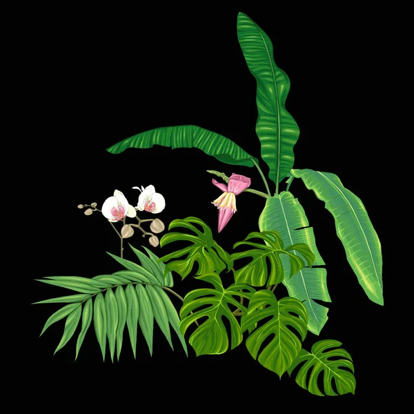 Kompozycja Tropikalnych Roślin Liści Palmowych Potwory Białe Storczyki Botanicznych Styl — Wektor stockowy