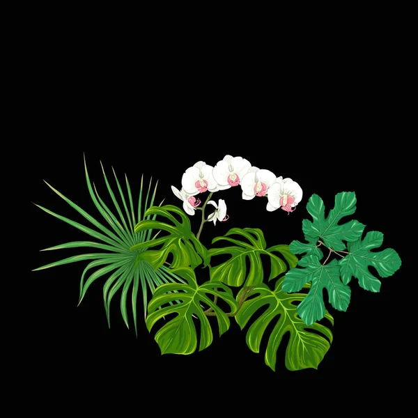 Une Composition Plantes Tropicales Feuilles Palmier Monstres Orchidées Blanches Dans — Image vectorielle