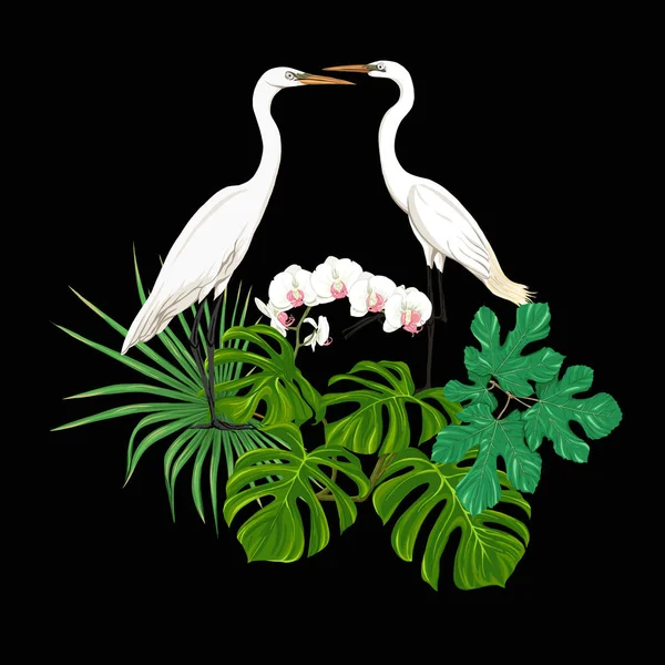 Una Composizione Piante Tropicali Foglie Palma Mostri Orchidee Bianche Con — Vettoriale Stock