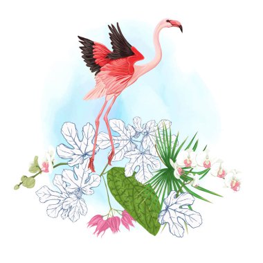 Tropikal bitki kompozisyonu, palmiye yaprakları, canavarlar ve flamingo botanik tarzı ile beyaz orkide. Renkli ve anahat tasarım suluboya arka plan üzerinde. Vektör çizim.