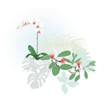 Tropikal bitki kompozisyonu, palmiye yaprakları, canavarlar ve botanik tarzı vektör çizim beyaz orkide. Renkli ve siluet tasarım