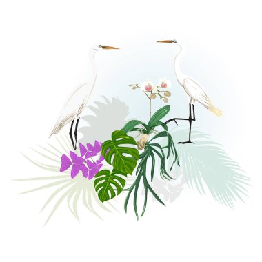 Tropikal bitki kompozisyonu, palmiye yaprakları, canavarlar ve botanik tarzı vektör çizim beyaz heron ile beyaz orkide. Renkli ve siluet tasarım