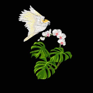 Nakış tropikal bitki ve kuş ile tasarım öğelerinin. Renkli vektör çizim. Siyah arka plan üzerine izole