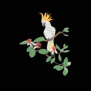 Nakış tropikal bitki ve kuş ile tasarım öğelerinin. Renkli vektör çizim. Siyah arka plan üzerine izole