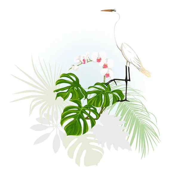 Composition Tropical Plants Palm Leaves Monsters White Orchids White Heron — Stock Vector