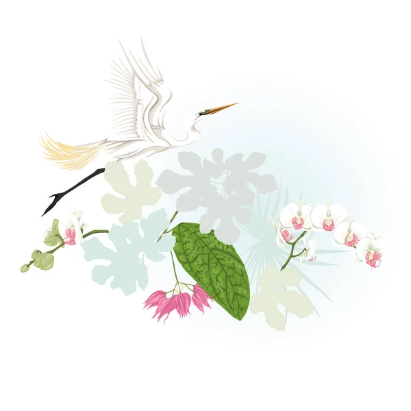 Композиція Тропічних Рослин Пальмового Листя Монстрів Білих Орхідей Білою Чаплями — стоковий вектор
