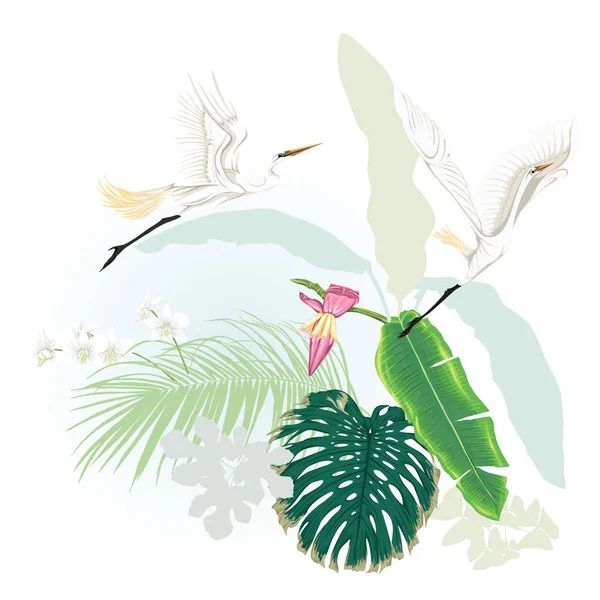 Kompozycja Tropikalnych Roślin Liści Palmowych Potwory Białe Storczyki Białej Czapli — Wektor stockowy