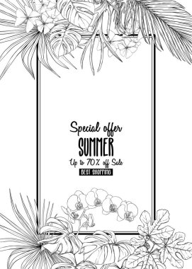 Tebrik kartı, davet veya tropik bitkiler ile banner şablon olarak palmiye yaprakları, monstera ve orkide. Renkli vektör çizim. Grafik çizim, gravür tarzı. vektör çizim