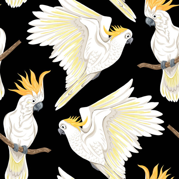 Seamless pattern, background with tropical birds. White heron, cockatoo parrot. Colored and outline design on navy blue background.. Vector illustration. Isolated on black background