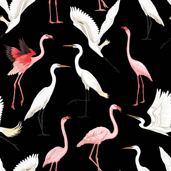 Varrat Nélküli Mintát Trópusi Madarak Háttér Fehér Kócsag Flamingo Színes — Stock Vector