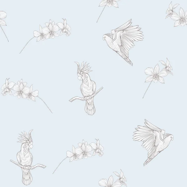 无缝的图案 背景与热带鸟类 鹦鹉和兰花 向量例证 图形绘图 雕刻样式 矢量插图 复古蓝色和米色 — 图库矢量图片