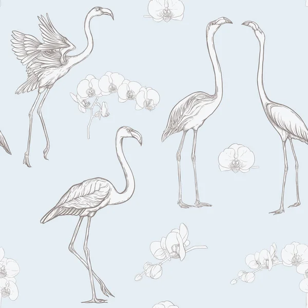 Nahtloses Muster Hintergrund Mit Tropischen Vögeln Flamingo Und Orchideenblume Vektorillustration — Stockvektor