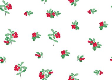 Dikişsiz desen, arka plan ile lingonberries. Renkli vektör çizim. Beyaz arka plan üzerinde izole.