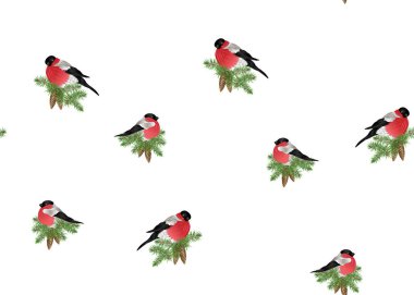 Dikişsiz desen, bir koni ile çam dal şakrak kuşu ile arka plan. Renkli vektör çizim. Beyaz arka plan üzerinde izole