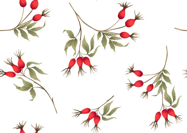 Nahtloses Muster Hintergrund Mit Zweigen Und Wilden Rosenbeeren Isoliert Auf — Stockvektor