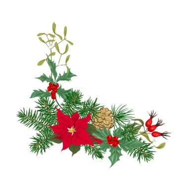 Noel dekorasyonu, yapılan çam dalları, puancetti, çam, holly, ökse otu, köpek gül çelenk. Beyaz arka plan üzerinde izole. Renkli vektör çizim