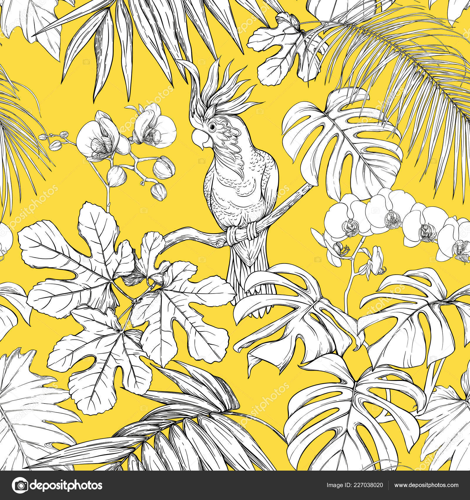 Modèle Sans Couture Fond Avec Plantes Tropicales Fleurs