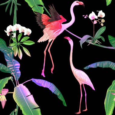 Dikişsiz desen, arka plan. tropikal bitki ve çiçeklerle beyaz orkide ve tropikal kuşlar. Neon, siyah adam floresan renkler renkli vektör çizim