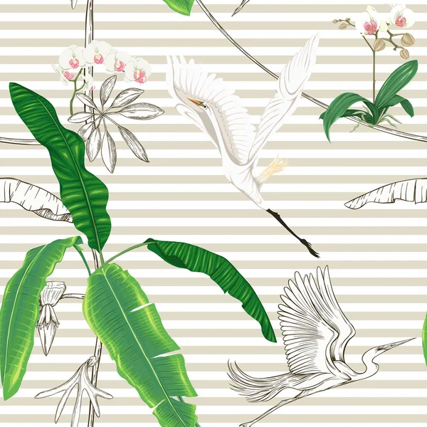 无缝模式 与热带植物和花与白色的兰花和热带鸟在米色和白色条纹背景 彩色和轮廓设计 向量例证 — 图库矢量图片