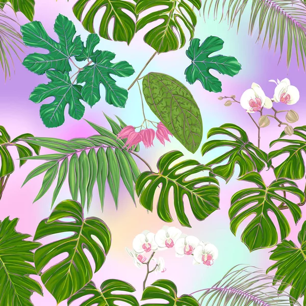 Тропические Растения Белые Цветы Орхидеи Бесшовный Рисунок Фон Цветные Векторные — стоковый вектор