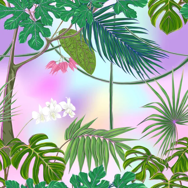 Tropické Rostliny Bílé Květy Orchidejí Vzor Bezešvé Pozadí Barevné Vektorové — Stockový vektor