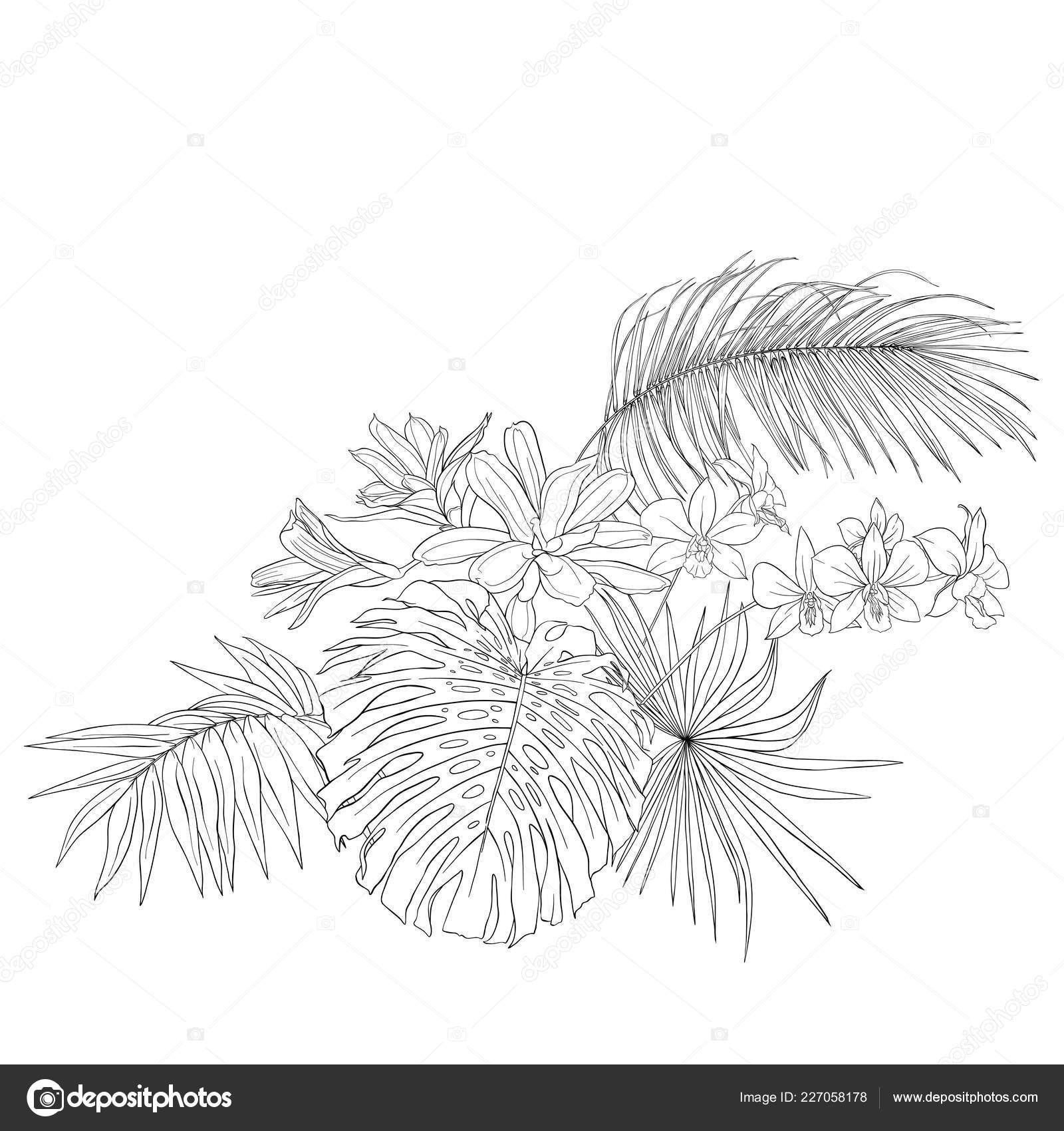 식물의 괴물과 스타일 드로잉 일러스트 션입니다 배경에 스톡 벡터 - ©ElenaBesedina 227058178, image size:1600x1700