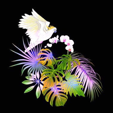 Tropik bitkiler, palmiye yaprakları, canavarlar ve botanik Kakadu papağan ile beyaz orkide bileşimi neon, floresan renkler renkli vektör çizim tarzı. Siyah arka plan üzerine izole.