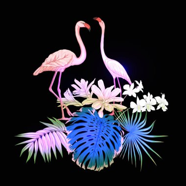 Tropik bitkiler, palmiye yaprakları, canavarlar ve flamingo Botanik ile beyaz orkide bileşimi neon, floresan renkler renkli vektör çizim tarzı. Siyah arka plan üzerine izole.