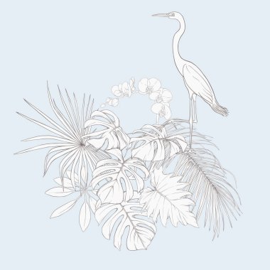 Tropikal bitki kompozisyonu, palmiye yaprakları, canavarlar ve botanik tarzında beyaz heron ile beyaz orkide. Vektör çizim çizim el anahat. Vintage mavi ve bej renklerini.